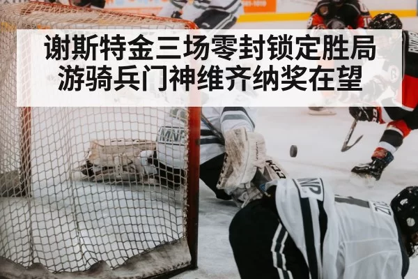 hockey save