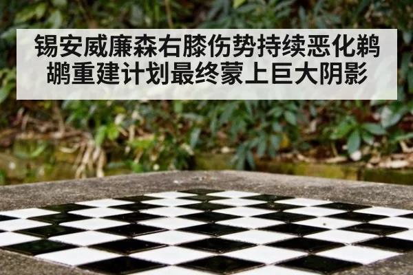 锡安威廉森右膝伤势持续恶化鹈鹕重建计划最终蒙上巨大阴影